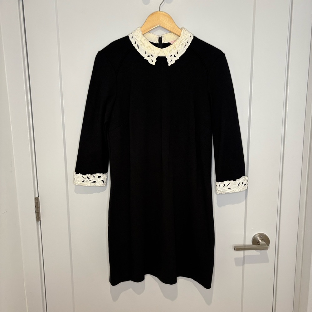 Ted Baker Black Dress with Cream Lace Details | Currie Lace Collar Tunic